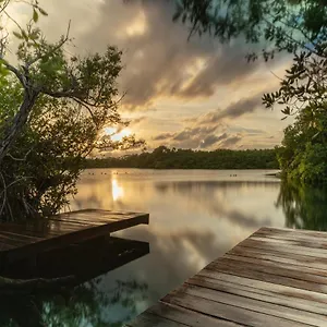 yaxchen-tulum-eco-lodge-cenote.allrivieramayahotels.com/